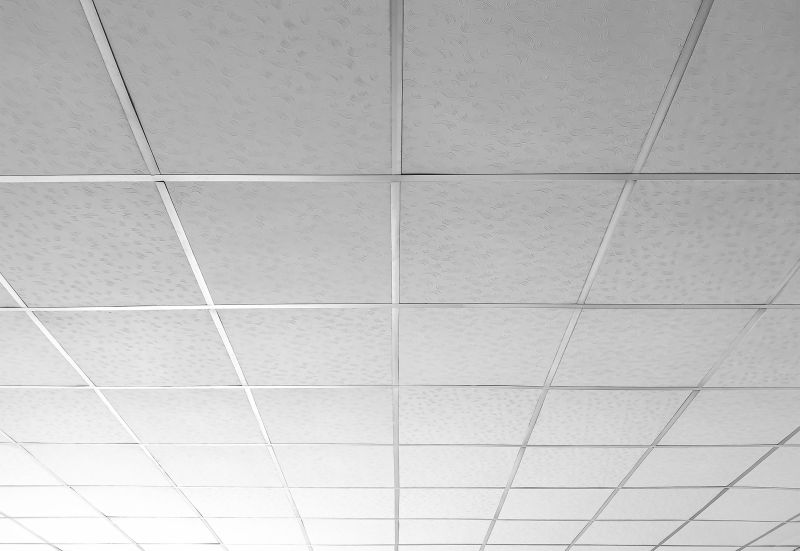 Suspended Ceiling Systems