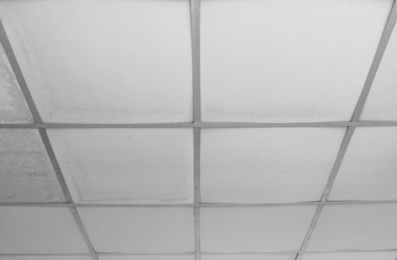 Ceiling Panel Repair in Longmont, CO
