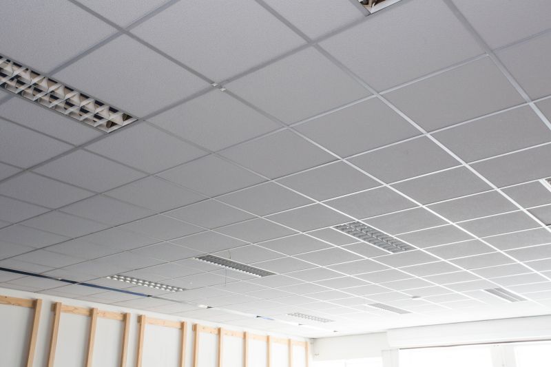 Acoustic Ceiling Tile Installation