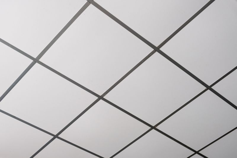 Ceiling Tiles Installation in Longmont, CO