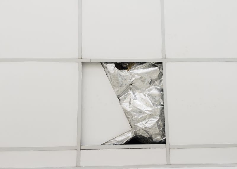 Ceiling Tiles Repair in Saint Augustine, FL