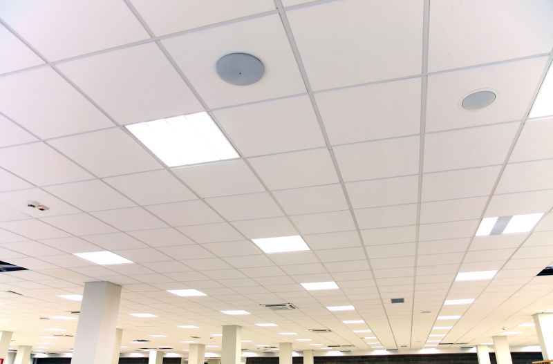 Ceiling Tiles Repair in Arvada, CO